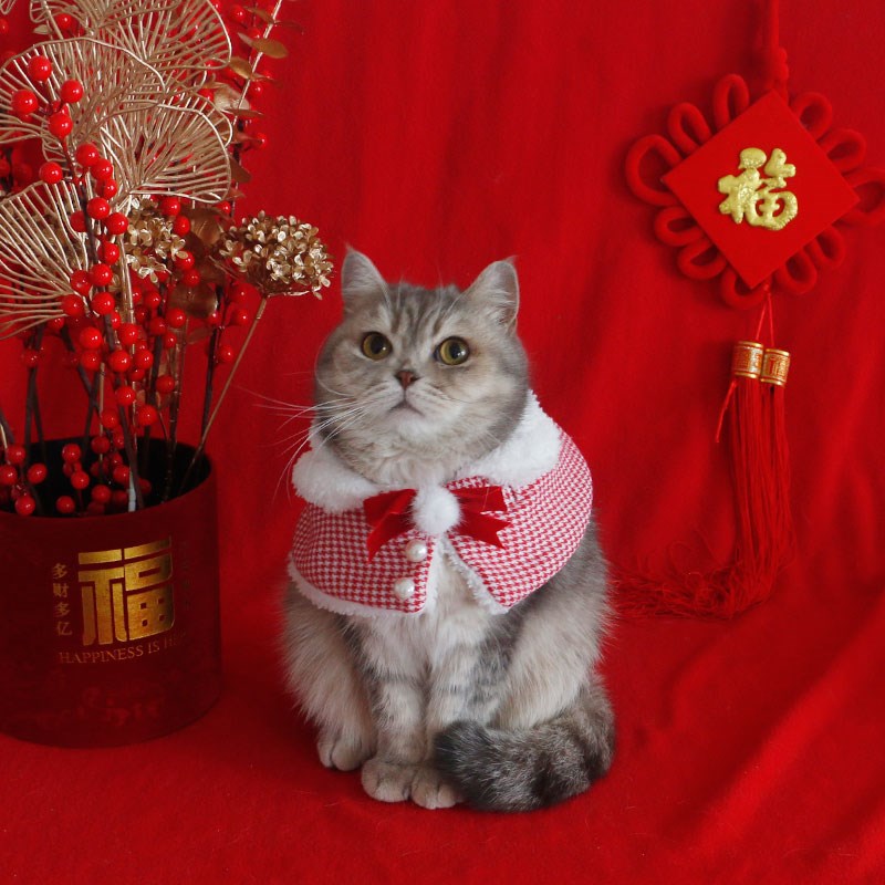 猫咪新年装狗狗过年围脖宠物圣诞披肩红色披风小型犬秋冬拍照饰品