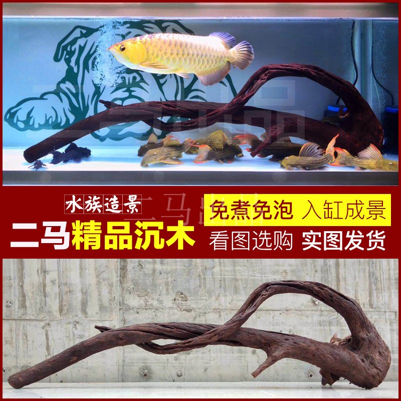 二马61-80cm精品鱼缸造景沉木树森林 沉木大号大型 免煮 拱桥形