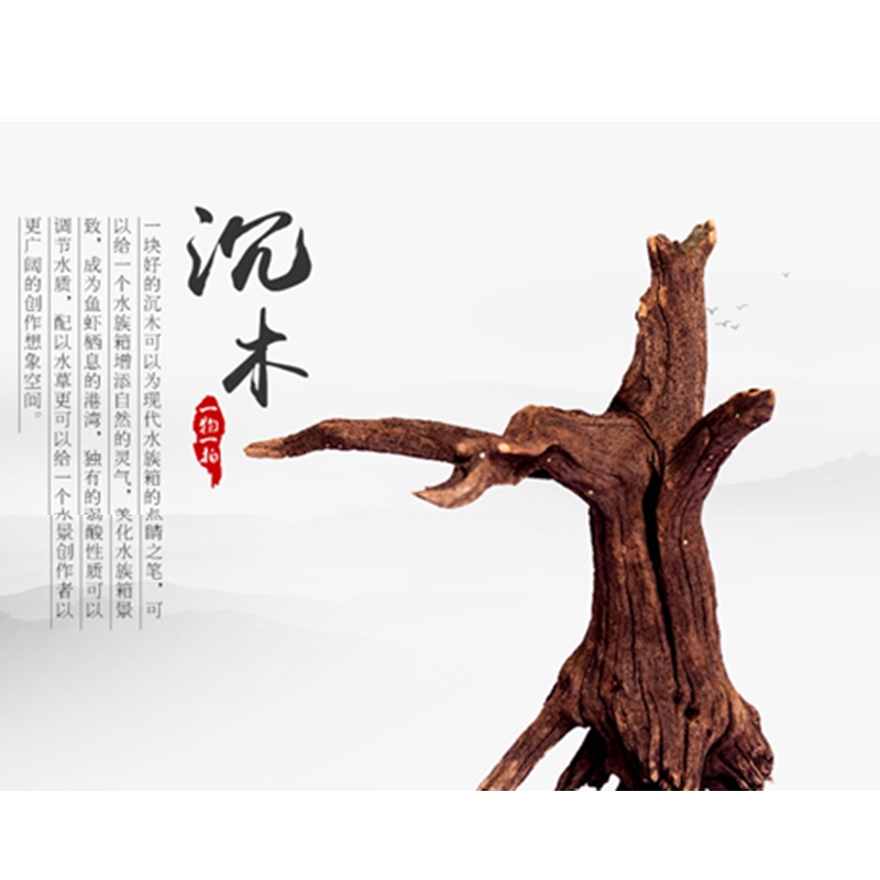 鱼草缸免煮秒沉紫柚木沉木造景装饰天然枯木水族树根晒龟拱桥摆件