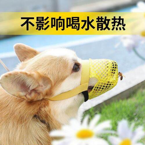 【严选臻品】狗狗嘴套小狗中小型犬防乱吃防咬狗口罩雪纳防误食瑞