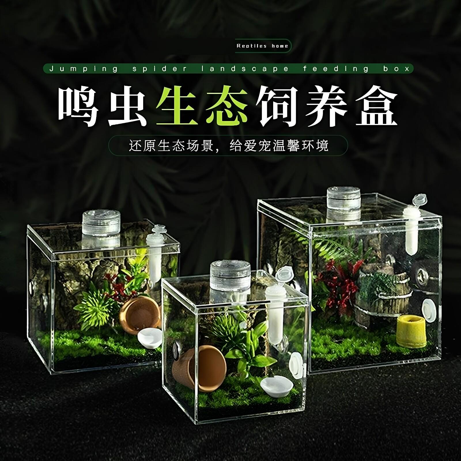 叫罐新款控温兰花螳螂鸣虫生态盒透明油葫芦蜗牛防越狱饲养盒跳蛛图片