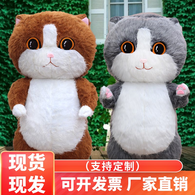 网红充气猫咪h卡通人偶服装成人气氛猫玩偶服商场引流道具定制套