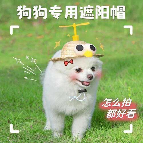 狗狗遮阳帽可爱猫咪头饰泰迪柯基小型犬狗狗草帽搞笑头盔装饰宠物