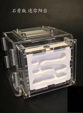 石膏蚁巢巢生亚克力城堡试管宠物生日特硬蚁巢宠物混凝土散装长宽