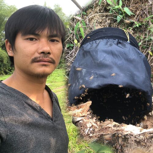 新款可横放可挂收蜂笼招蜂袋收蜂蜂不透光可折叠方便携带
