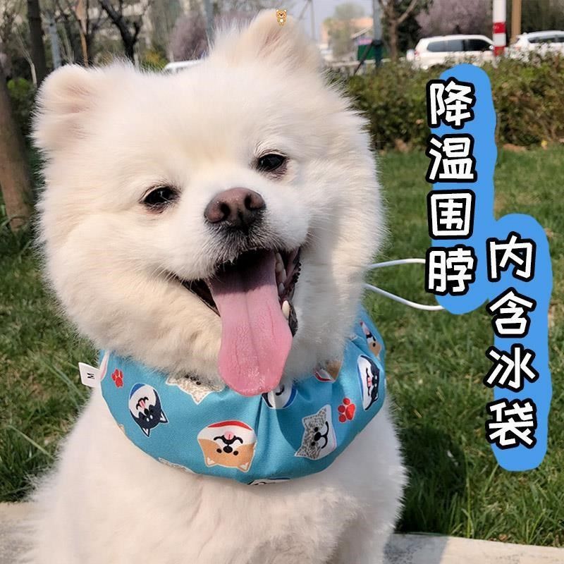 狗狗降温围脖夏季宠物冰袋围巾法斗泰迪降暑背心肚兜狗狗冰围巾
