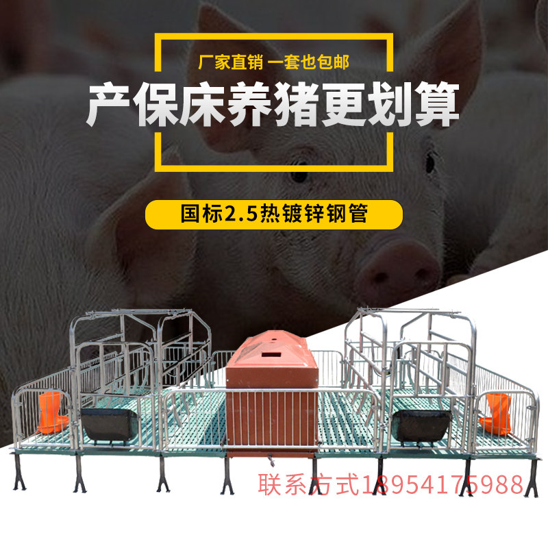母猪产床单体产床养猪设备仔猪分娩床双体产床产保两用落地