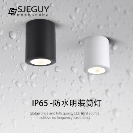led防水明装筒灯户外室外阳台店铺门头酒店雨棚露台吸顶射灯IP65