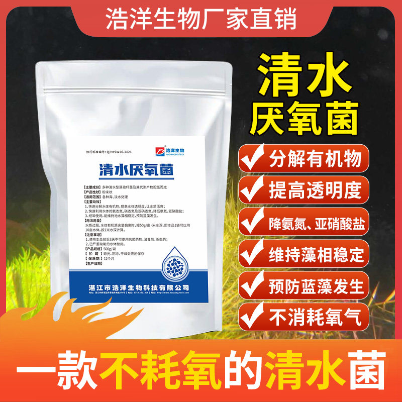 浩洋生物水产养殖清水厌氧菌分解有机质调水缓解水质过肥稳藻相