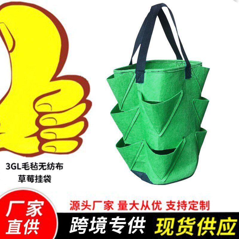 毛毡10口无纺布草莓挂袋园艺花卉植物生长袋空中园艺3加仑种植袋