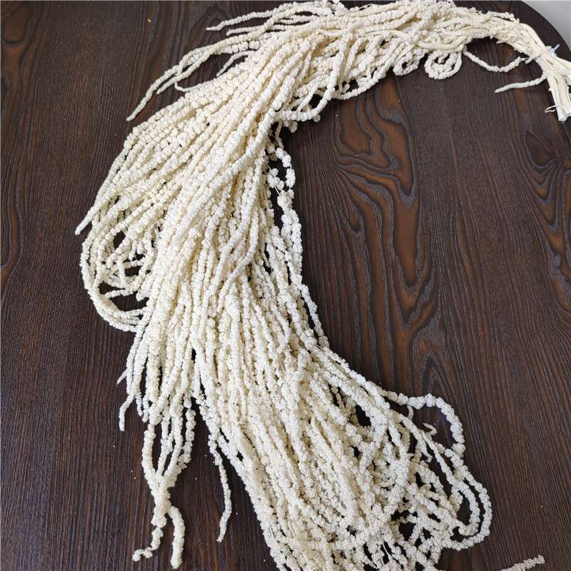 永生吊米垂吊情人泪柔丽丝长穗花保鲜花白苋菜花艺软装婚礼布景