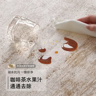 简约家用地毯垫 客厅地毯高级感茶几沙发毯卧室耐脏防滑床边毯意式