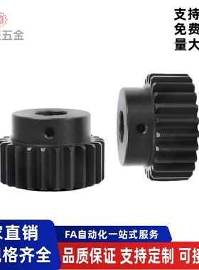 VNF01 02 03 21 22 31 41 42 43 51-1.0-20-B10-A B-P6标准直齿轮