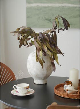 花曌【是真的豆角】【可做干B花】【家居瓶插花】诧寂风装饰