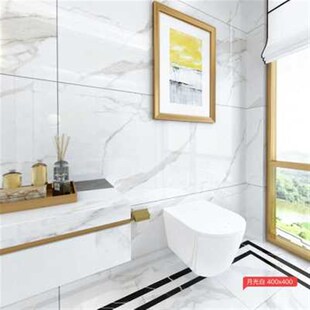 大板瓷砖600x1200客厅地砖通体大理石鱼肚白R墙砖简约电视背景墙
