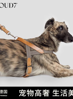 德国cloud7蒂沃利胸背真皮防爆冲狗狗胸背带轻奢Y字型牵引遛狗绳