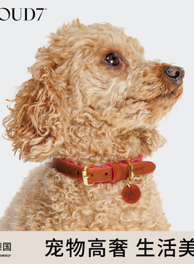 德国cloud7王子公园狗狗宠物项圈约克夏小型犬牛皮脖圈牵引绳子