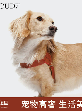 德国cloud7王子公园真皮防爆冲狗狗胸背带轻奢Y字型牵引遛狗绳