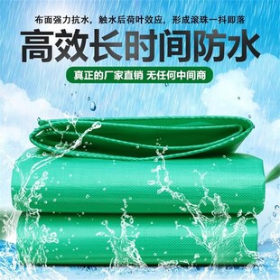 绿防雨布彩条布加厚篷布防雨防尘遮阳塑料布E耐磨防水布抗老化