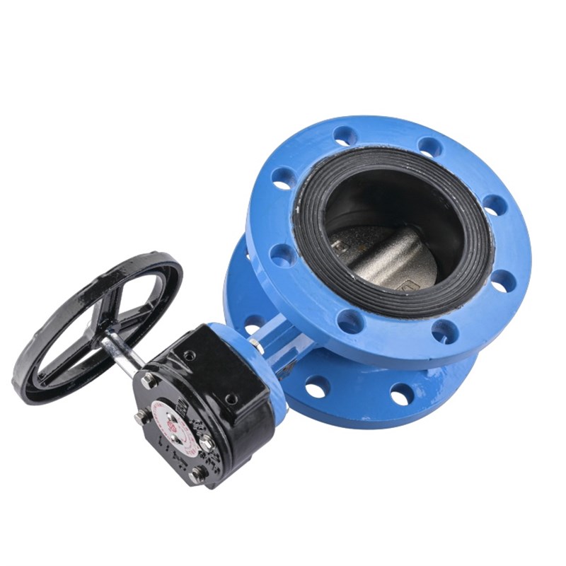 D1X-10/1 手动涡轮软密封法兰蝶DN5100100000