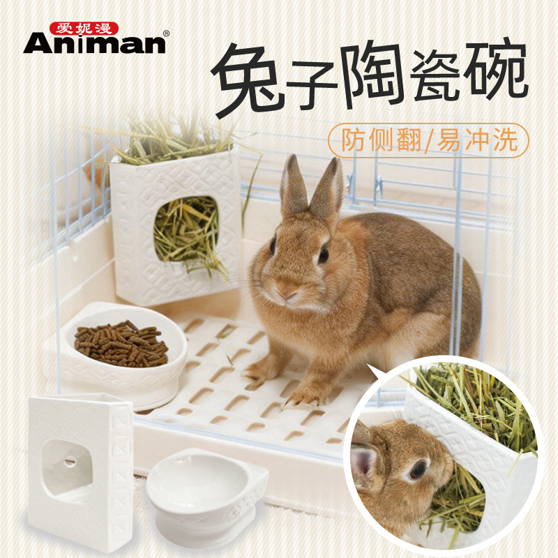 Animan爱妮漫兔子陶瓷碗草架食盆喂食器龙猫食槽防浪费固定吃饭