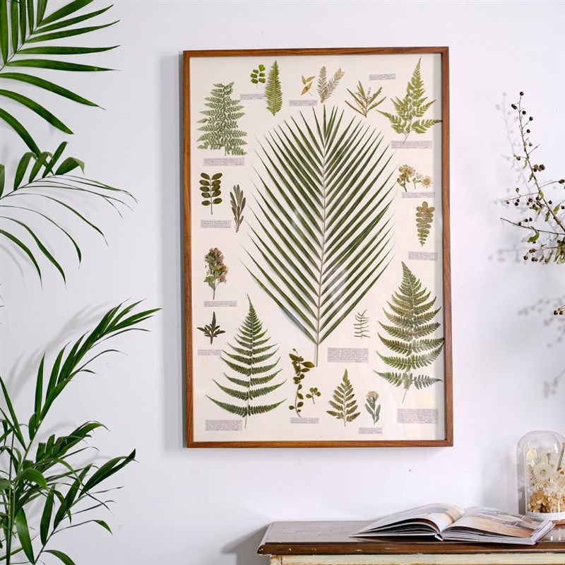 植物标本装饰画干花挂画悬挂沙发背景墙书房售楼部花卉复古美式画,家居饰品,标本类装饰画,淘宝优惠券,粉丝福利购,淘宝优惠卷