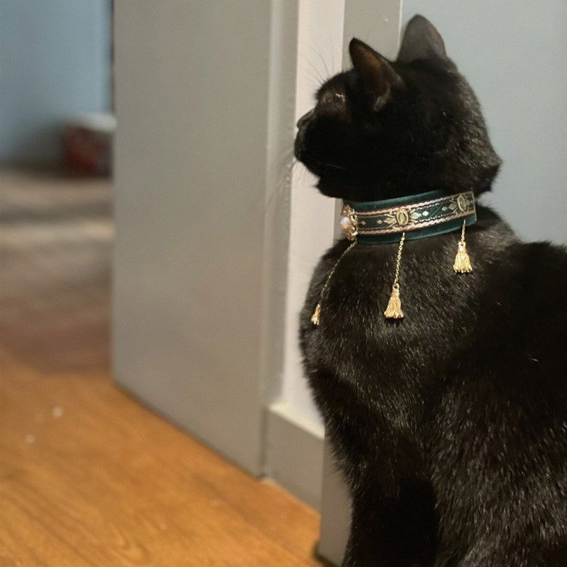两长一短猫项圈猫项链法老喵猫咪狗狗项圈皮质流苏颈圈宠物项链