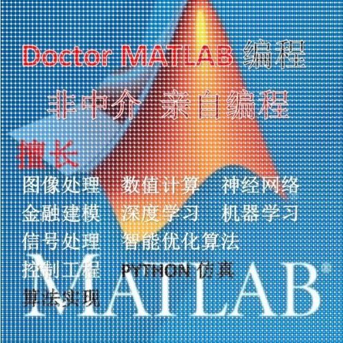 matlab代码帮做程序代编覆现问题解决simulink建模彷真代做