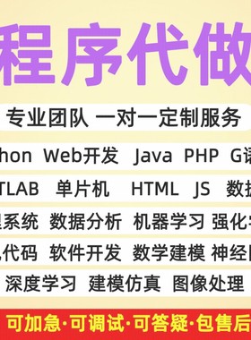 python代编程torch深度学习java代码编写c+软件开发图像算法指导