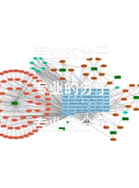 生信分析网络药理学生物信息学服务单细胞分析转录组GEO数据挖掘