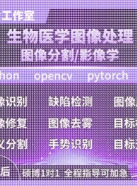 Python代码医学图像分割视觉深度学习语义分割检测图像分类帮做