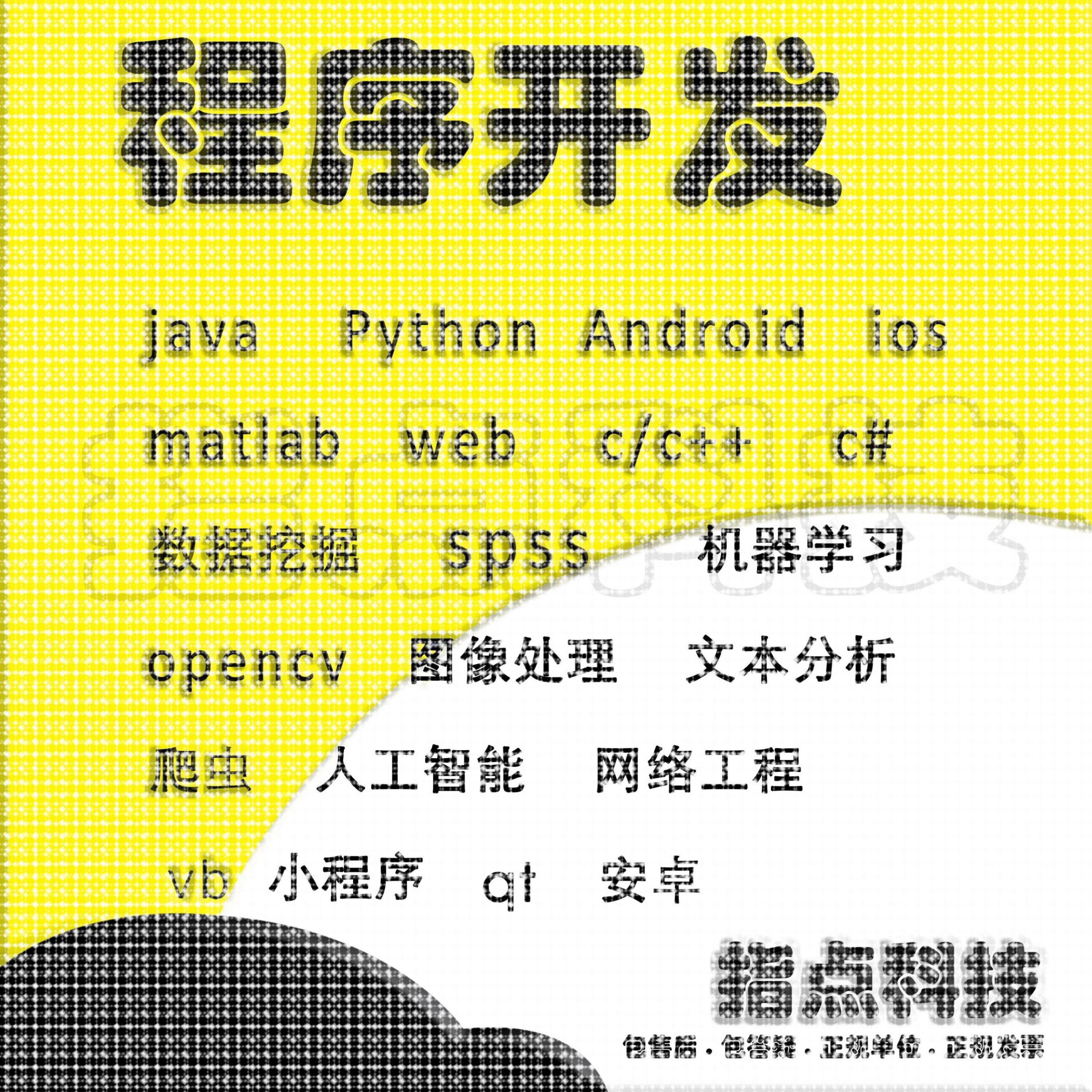 计算机python程序代做java系统设计c/c++代码编写qt开发php接单R