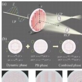 tracepro光学设计优化 代做zemax lighttools 镜头光源显微镜激光