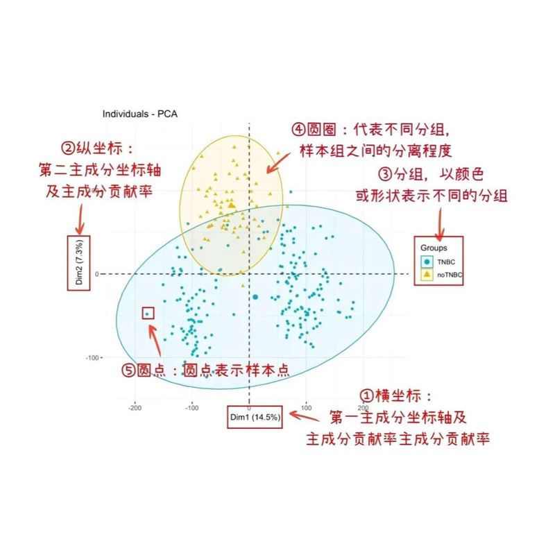 生信分析教学 单细胞空转 蛋白组 代谢组数据分析教学指导