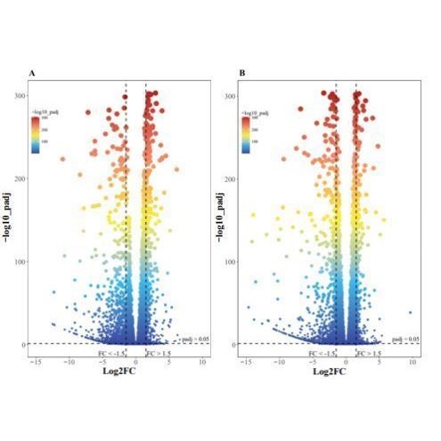 GWAS孟德尔随机化meta共定位SMR教学代做