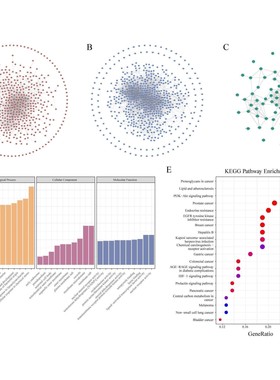 单细胞数据分析GEO TCGA RNA-seq测序数据挖掘结果可视化生信分析
