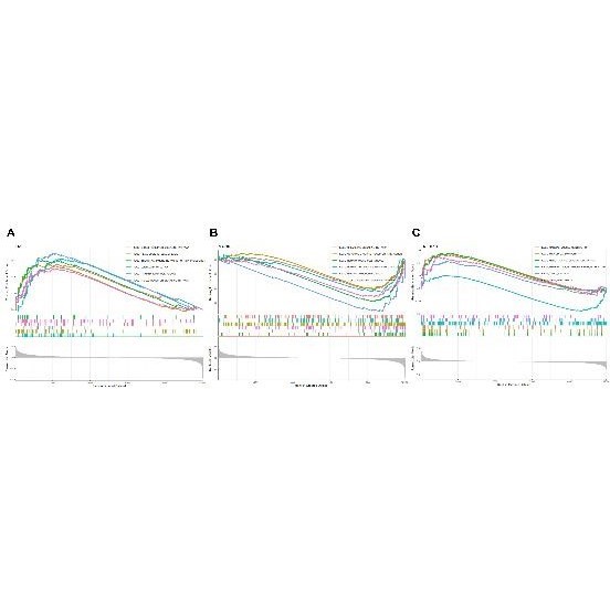 医学生信分析 单细胞测序生信3-5思路 TCGA数据库挖掘KEGG,GO分析