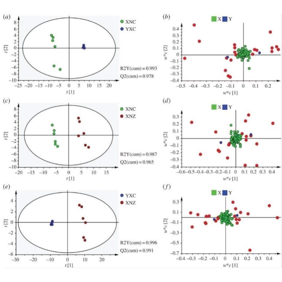 代谢组学 metabonomics 多元统计分析 simca p