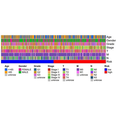 TCGA数据库免疫基因预后(免疫治疗/生存分析/WGCNA共表达网络)