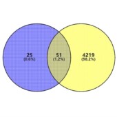 venn图 PPI蛋白质互作网络 kegg富集分析都可以做