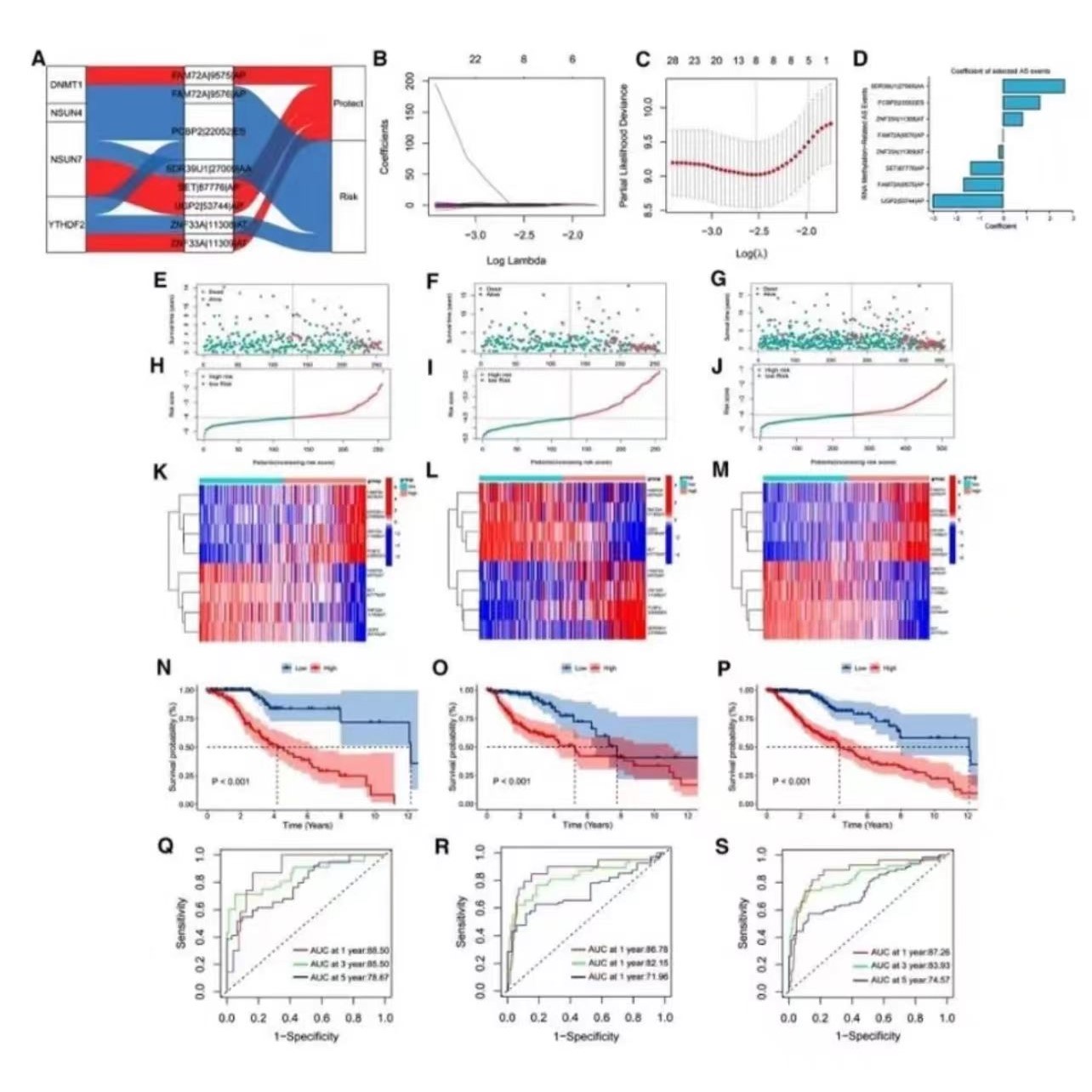 生生信分析--R语言 GEO TCGA数据厔分析 转录组 单细胞测序分析