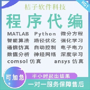 matlab代编程序Python神经网络深度机器学习通信彷真算法模型求解
