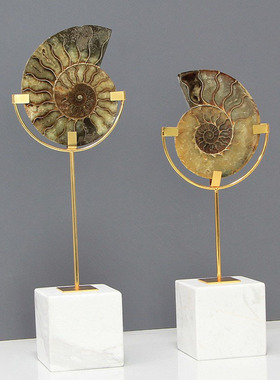 稀缺质感中古风海螺化石摆件水晶八爪鱼摆件样板房书房茶几书柜