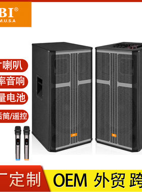 稀缺-12W双寸舞台功放蓝