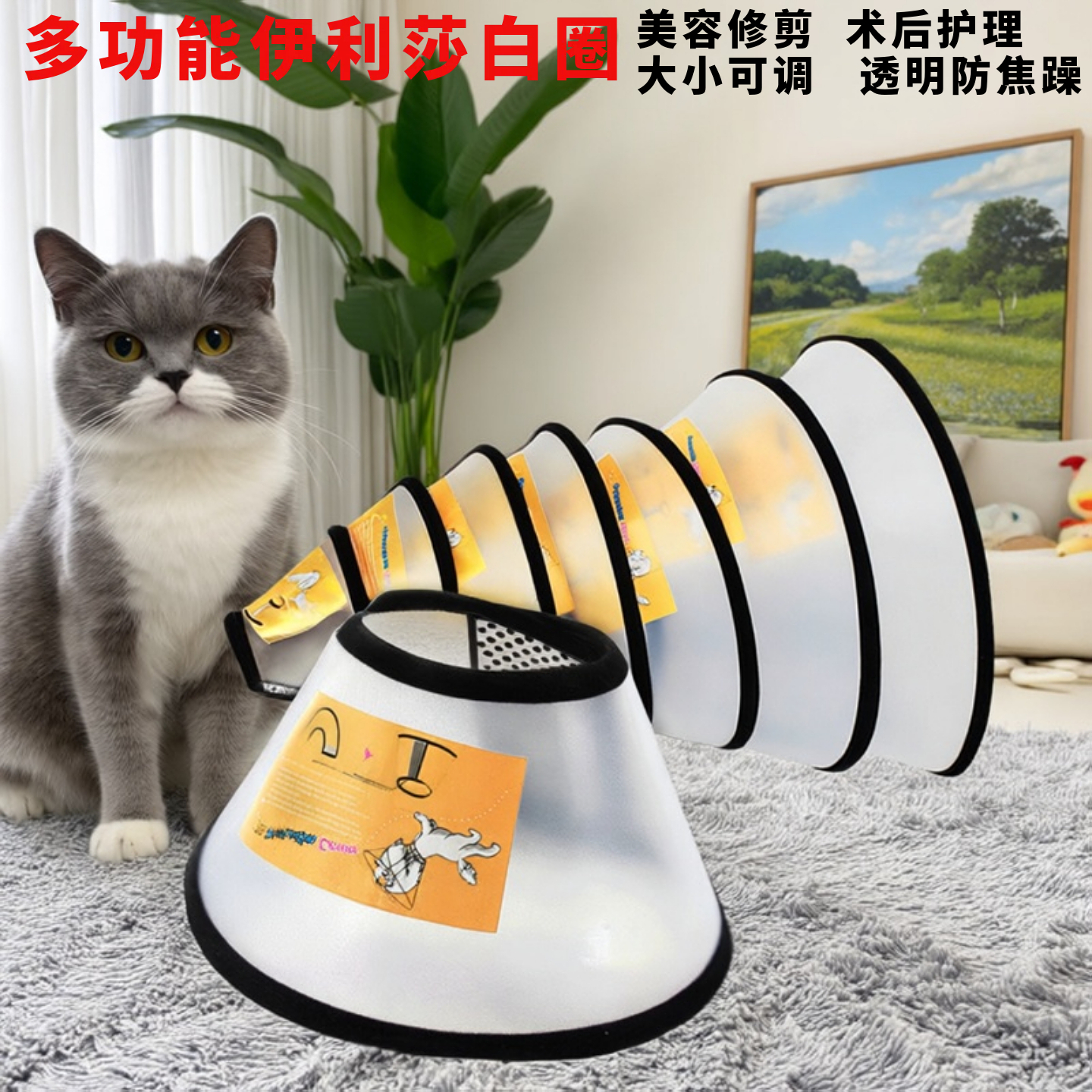 宠物伊丽莎白圈猫咪狗狗专用
