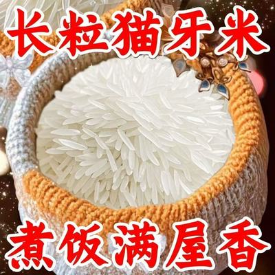 新米】10斤长粒猫牙米优质大米百合长粒百合煮饭干熬粥长款5斤1斤