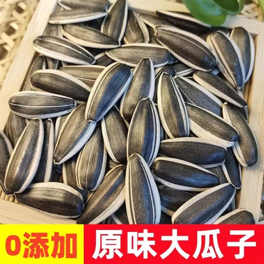【净重发货】2026内蒙古大花脸原味瓜子葵花籽休闲炒货追剧零食