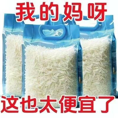 正宗猫牙米长粒香米超长农家无抛光煲仔饭晚稻新米优质蛋炒饭批发