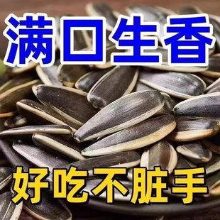 【太便宜了】现炒原味瓜子新货内蒙古大颗粒独立装葵花籽休闲批发