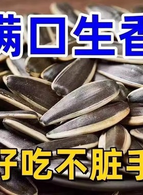 【净重二斤】原味瓜子新货现炒现发葵花籽大颗粒内蒙古瓜子零食
